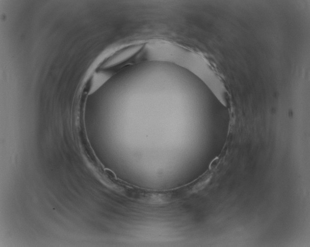 X0000081280056200702012229