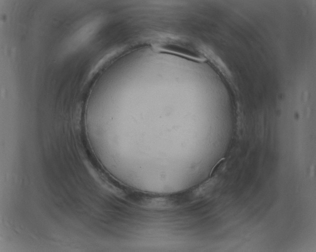 X0000081280058200702012229