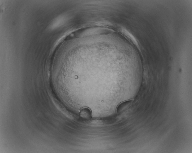 X0000081280059200702012229