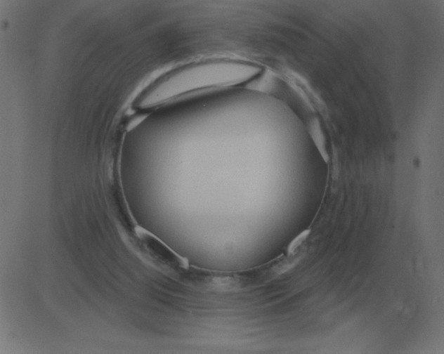 X0000081280060200702012229