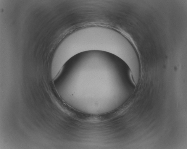 X0000081280061200702012229