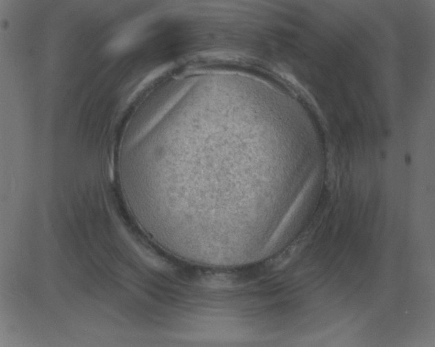 X0000081280062200702012229