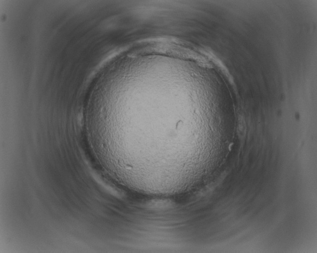 X0000081280063200702012229