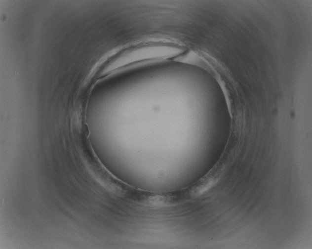 X0000081280064200702012229