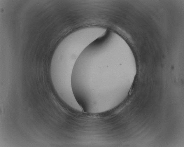 X0000081280065200702012229