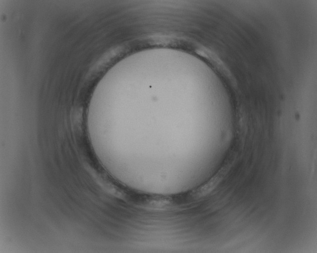 X0000081280066200702012229