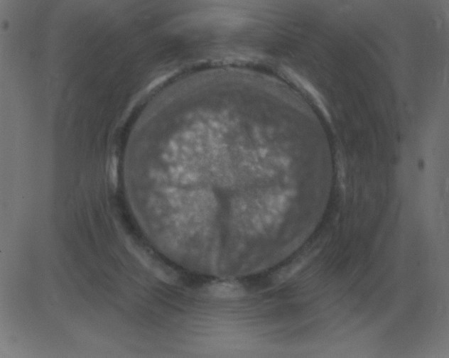 X0000081280067200702012229