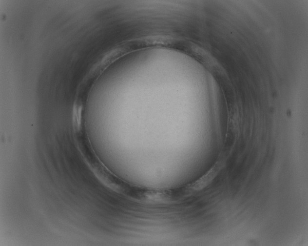 X0000081280070200702012229