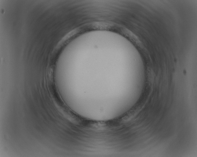 X0000081280071200702012229