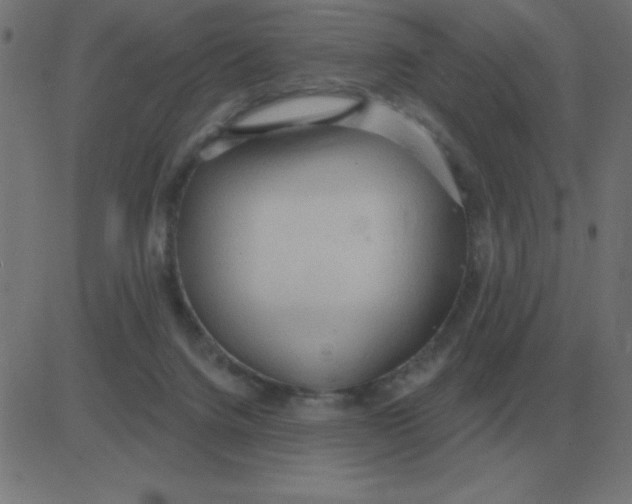 X0000081280072200702012229