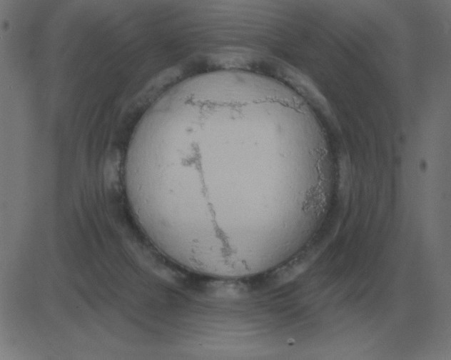 X0000081280073200702012229