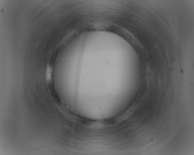 X0000081280075200702012229