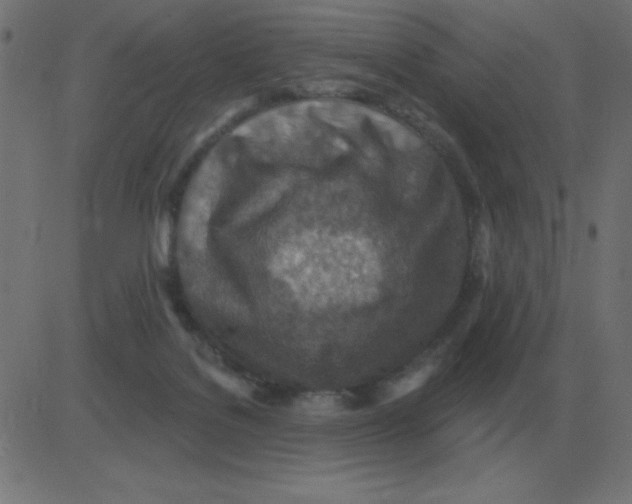 X0000081280076200702012229