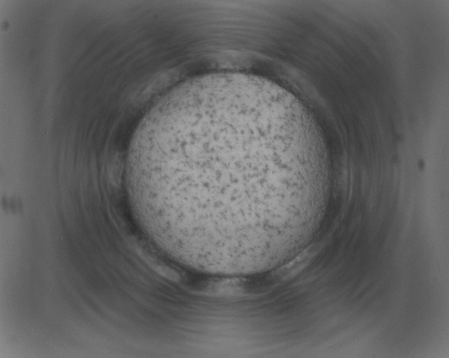 X0000081280078200702012229