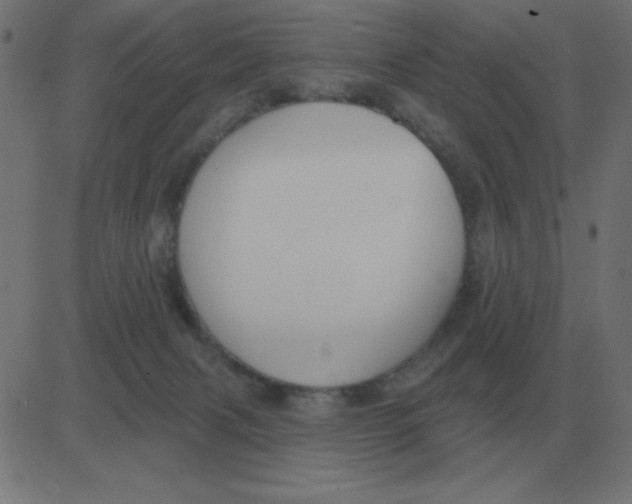 X0000081280079200702012229