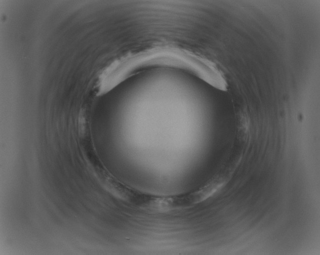 X0000081280080200702012229