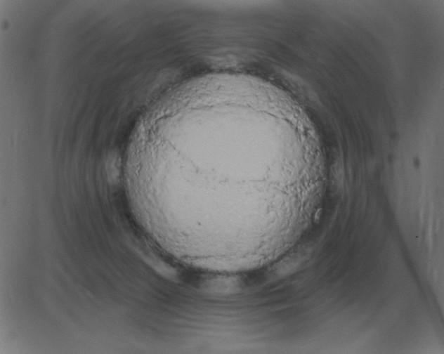 X0000081280081200702012229