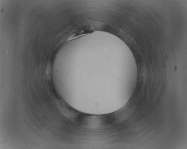 X0000081280082200702012229