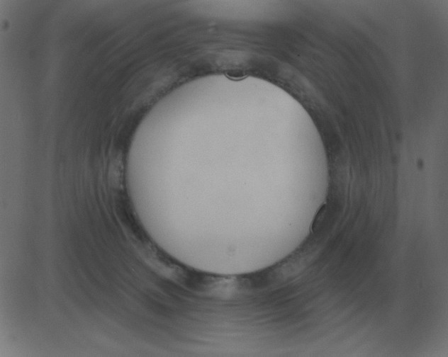 X0000081280083200702012229