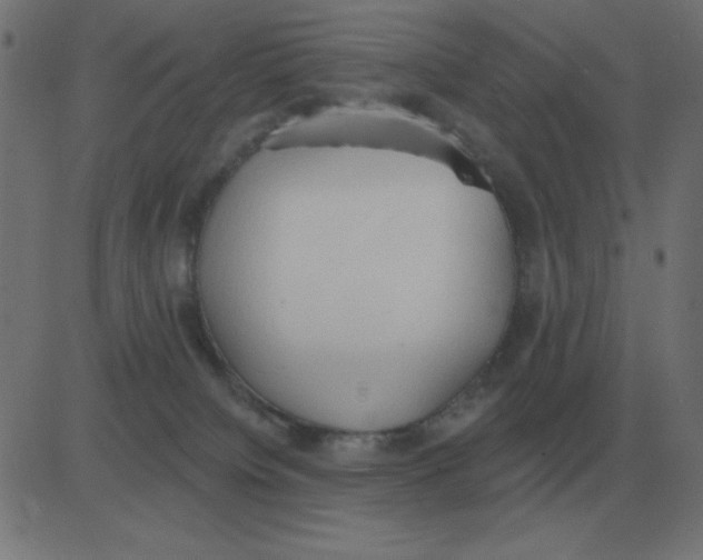 X0000081280084200702012229