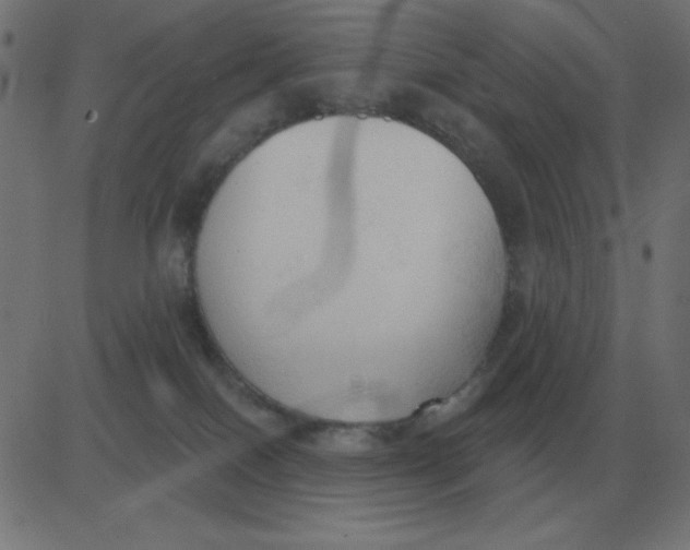 X0000081280086200702012229