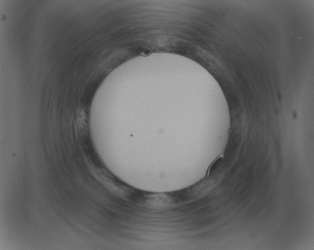 X0000081280087200702012229