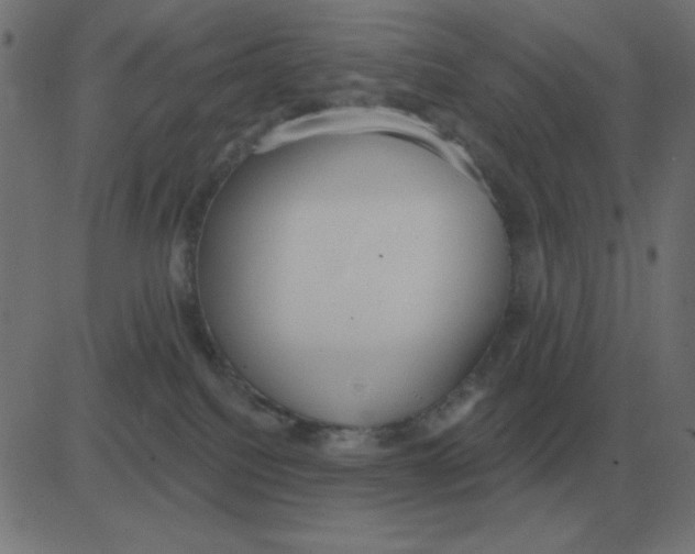 X0000081280088200702012229