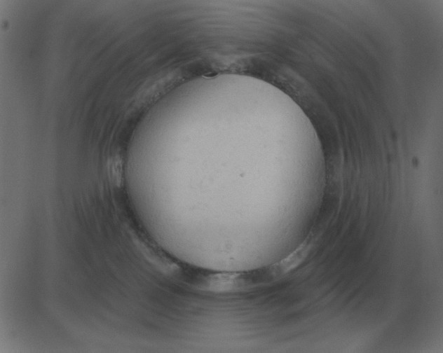 X0000081280090200702012229