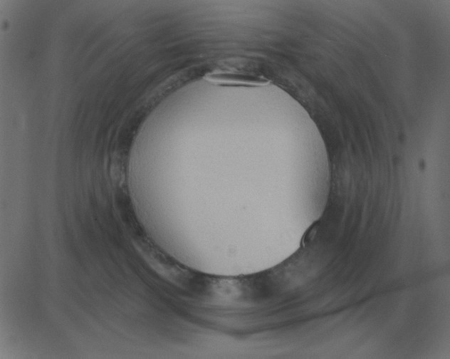 X0000081280091200702012229