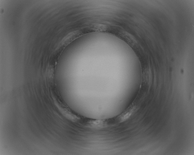 X0000081280092200702012229