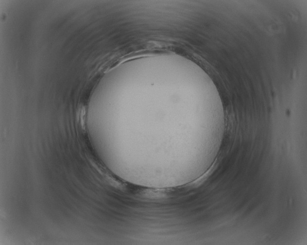 X0000081280094200702012229