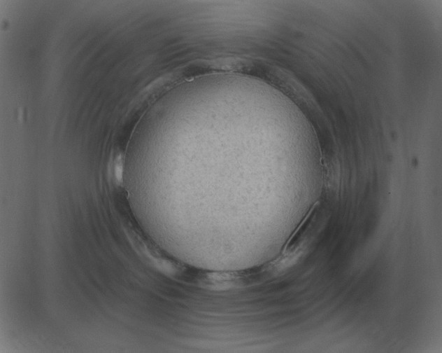 X0000081280095200702012229