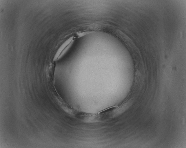 X0000081280096200702012229