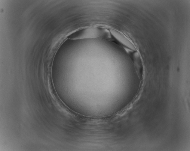 X0000081280097200702012229