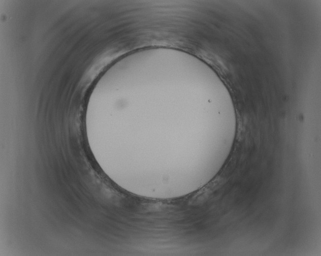 X0000081280098200702012229