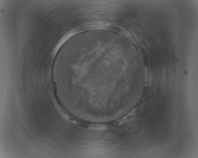 X0000081280099200702012229