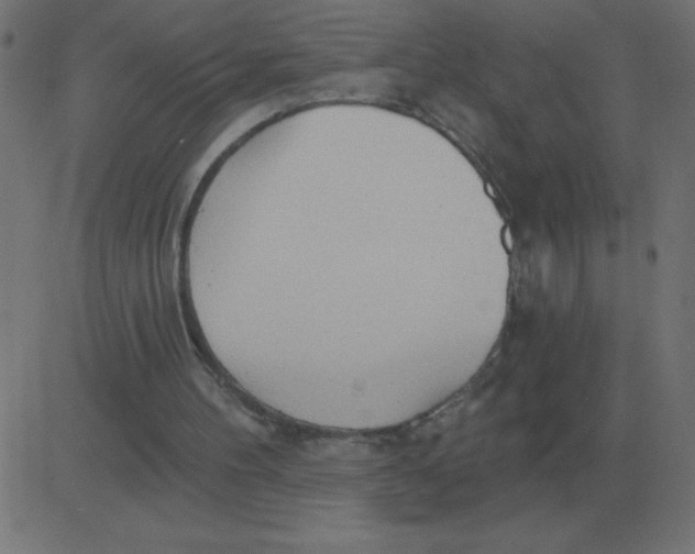 X0000081280100200702012229