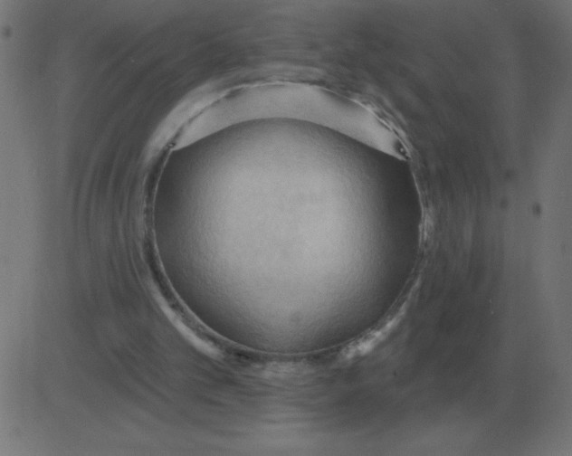 X0000081280101200702012229