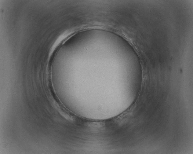 X0000081280102200702012229