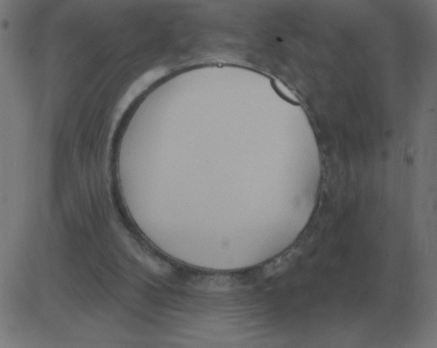 X0000081280104200702012228