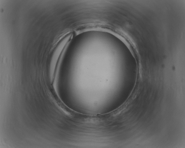 X0000081280105200702012228