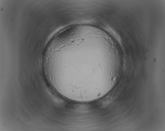 X0000081280107200702012228