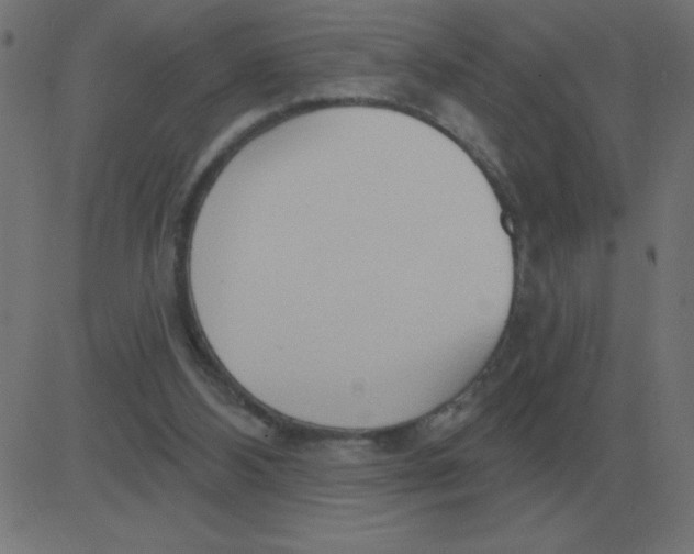 X0000081280108200702012228