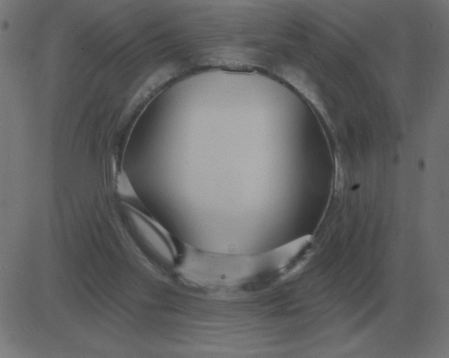 X0000081280109200702012228