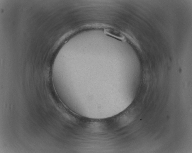 X0000081280111200702012228