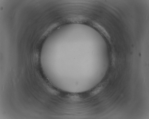 X0000081280113200702012228