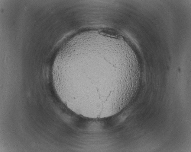 X0000081280115200702012228