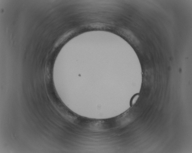 X0000081280116200702012228