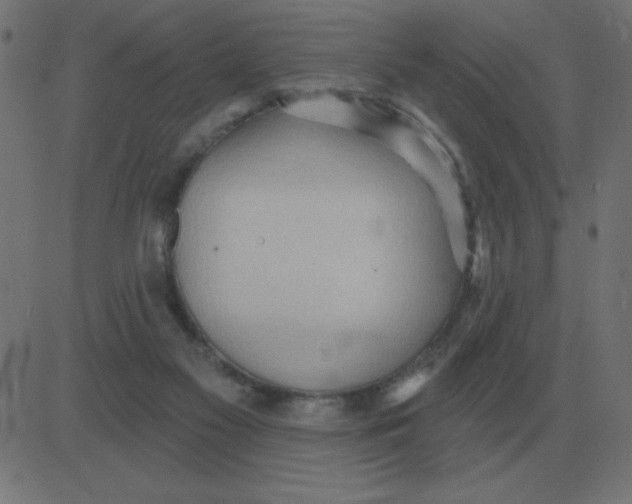 X0000081280117200702012228