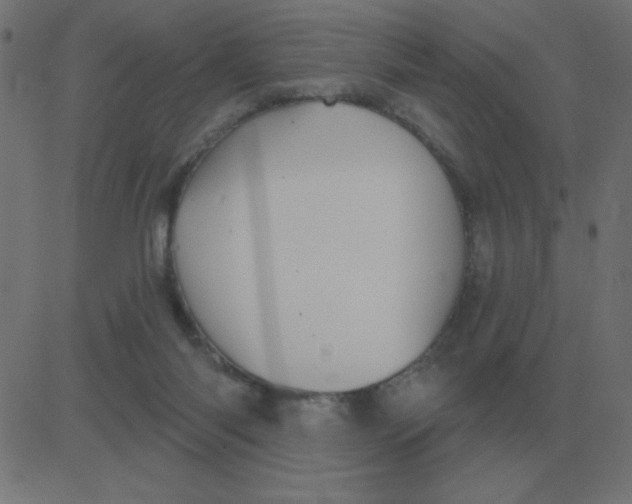 X0000081280118200702012228